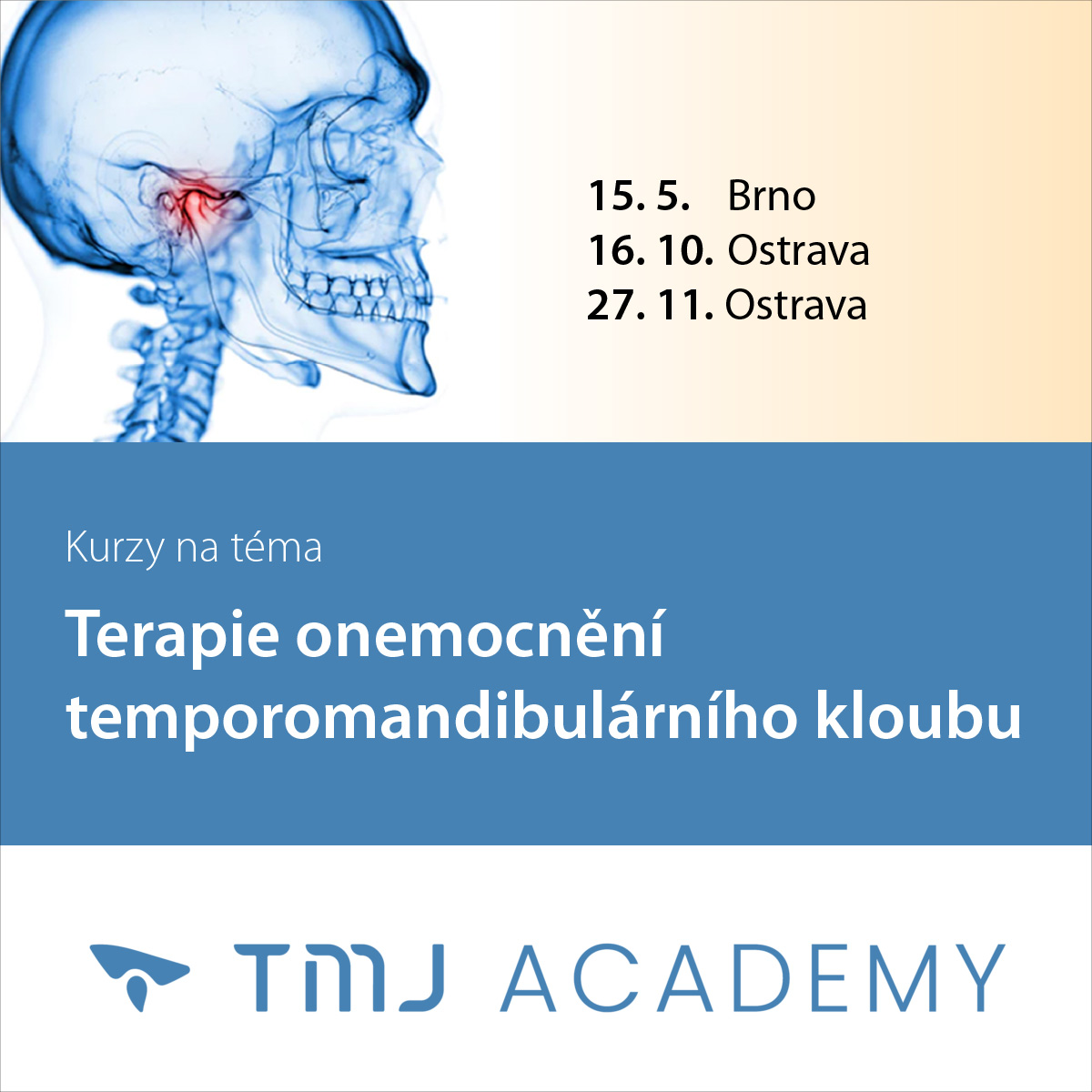 www.tmjacademy.cz