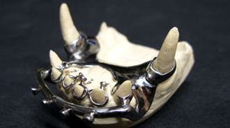 Veterinární ortodoncie: posun 4 zubů pomocí elastických prvků a labiálních oblouků