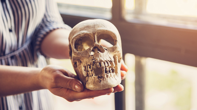 Vědci vyvinuli novou metodu určování biologického pohlaví z lidských kosterních ostatků Vědci vyvinuli novou metodu určování biologického pohlaví z lidských kosterních ostatků