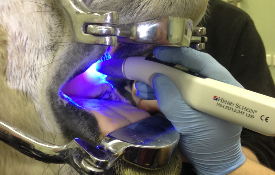 Restorativní ošetření infundibulárních kazů