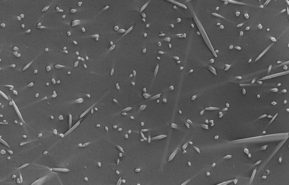 IPS Style®: Estetičtější, jednodušší, příjemnější – Ivoclar Vivadent představuje nový metalokeramický systém
