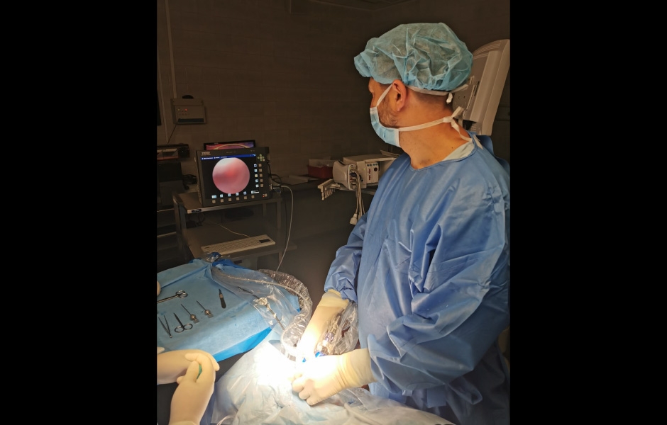 Obr. 2: Artroskopie – vizualizace kloubního prostoru.