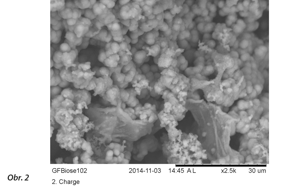 Viditelná tvorba krystalů hydroxyapatitu pod rastrovacím elektronovým mikroskopem, zvětšeno 2500× (fotografie zveřejněna se svolením COLTENE).