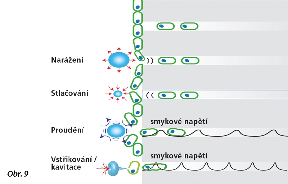 Mikroproudový a mikrokavitační efekt na přechodu mezi tekutinou a pevným povrchem (zveřejněno se souhlasem Aliny Sivriverové)