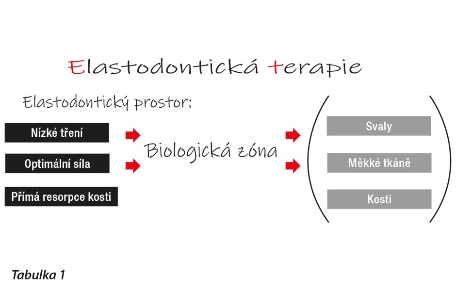 Funkční „elastodontická“ léčba aparáty A.M.C.O.P.: funkce, estetika a držení těla