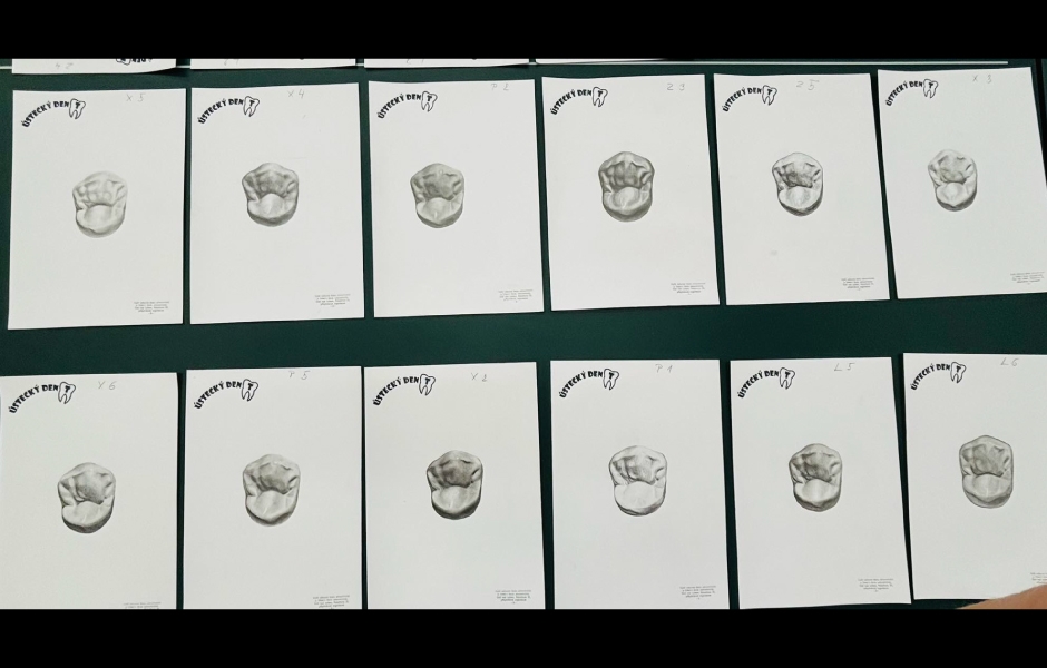 Obr. 15: Výsledné kresby