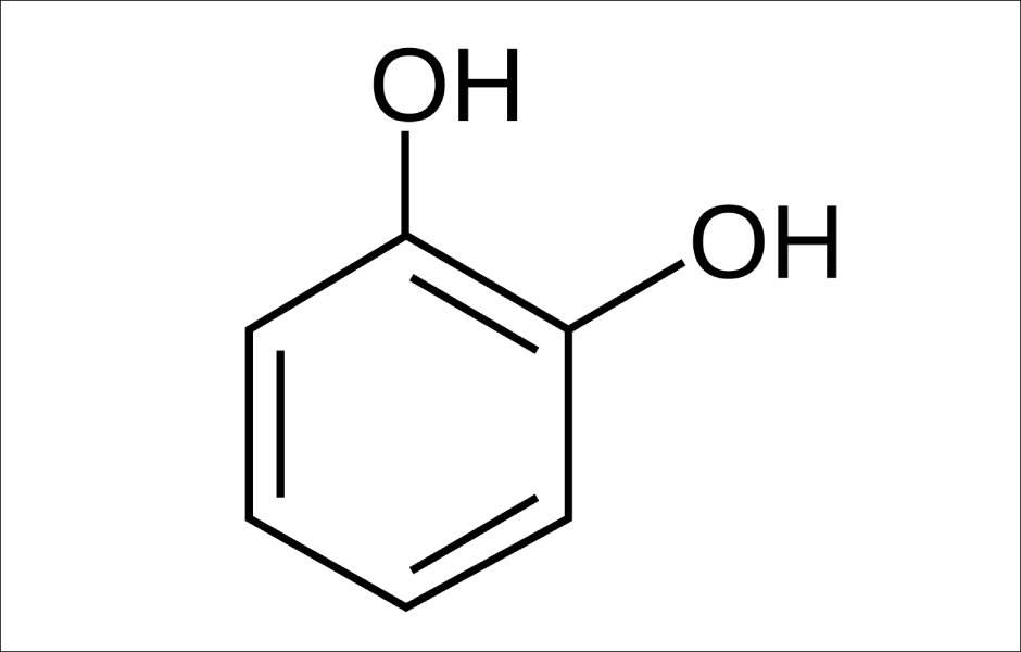 Obr. 1: Pyrokatechol - Polyfenol