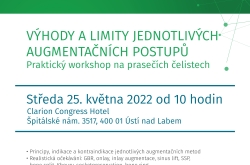 Výhody a limity jednotlivých augmentačních postupů Výhody a limity jednotlivých augmentačních postupů