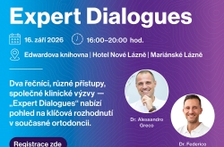 Expert Dialogues